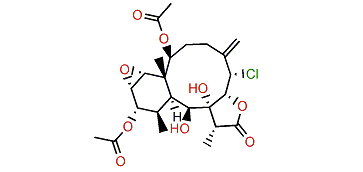 Briarenol V